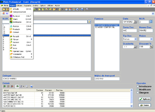 Pluto Professional 1.98 screenshot